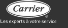 Carrier